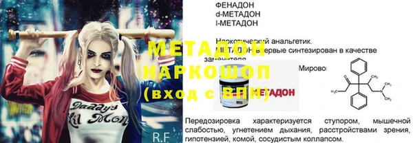 прущие грибы Семикаракорск