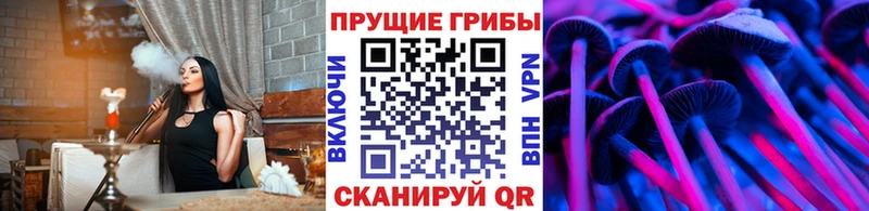 omg зеркало  Заринск  Галлюциногенные грибы Psilocybe 