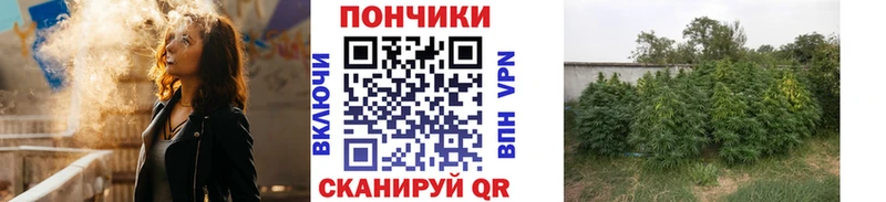 Бошки Шишки индика  где найти наркотики  Заринск 